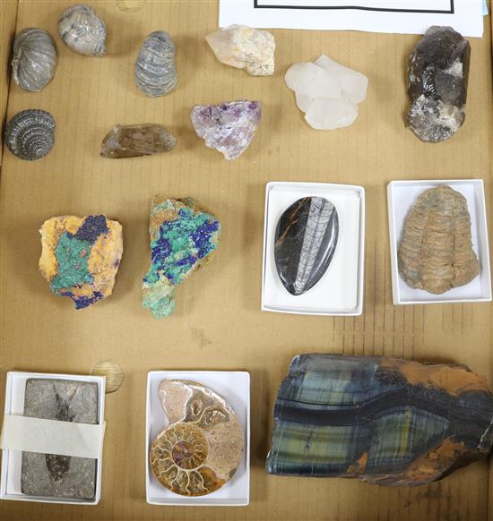 A small collection of fossil and mineral specimens with provenance